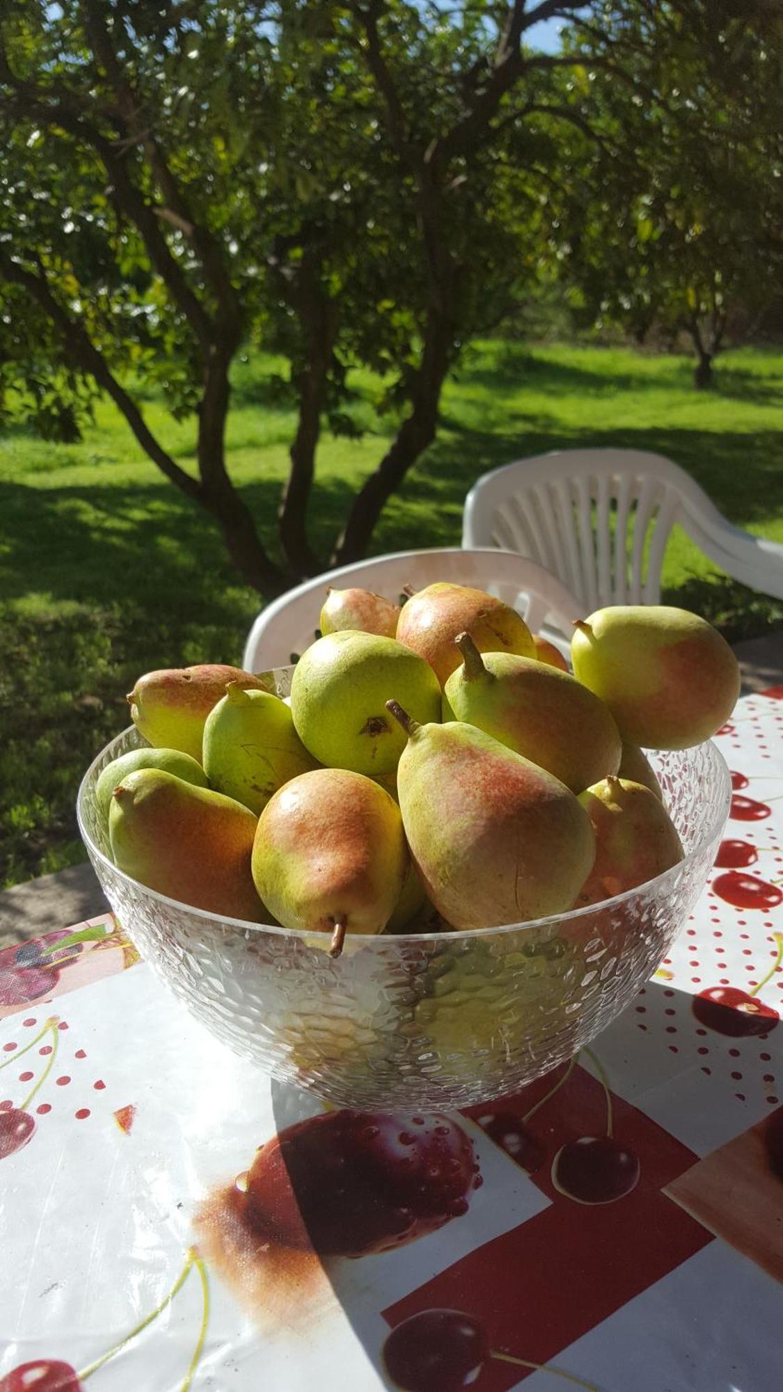 Tortolì Kepos Room מראה חיצוני תמונה